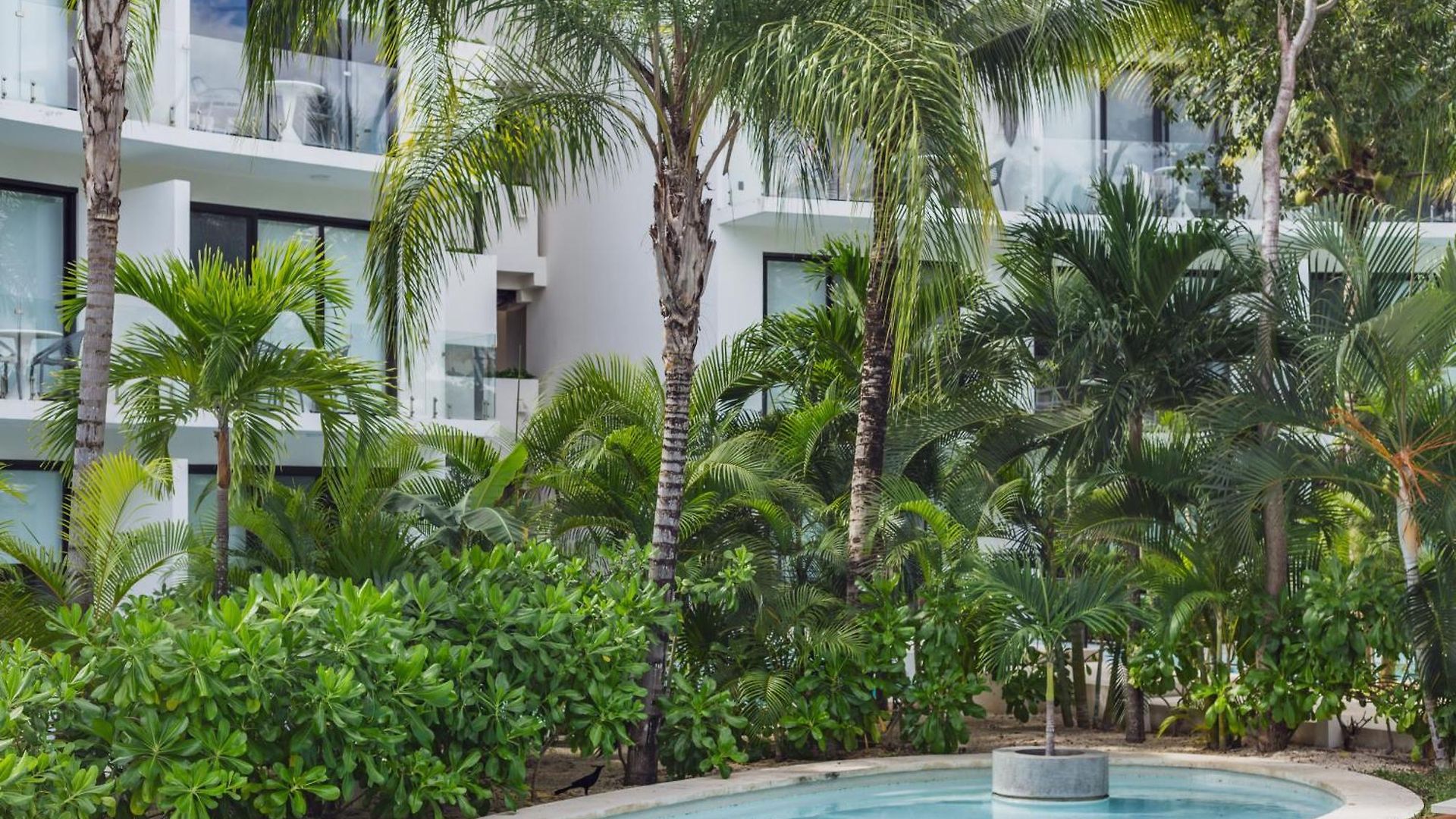 Bt Homes - Ph Selvático, Piscina Privada Y Confort Apartamento Tulum