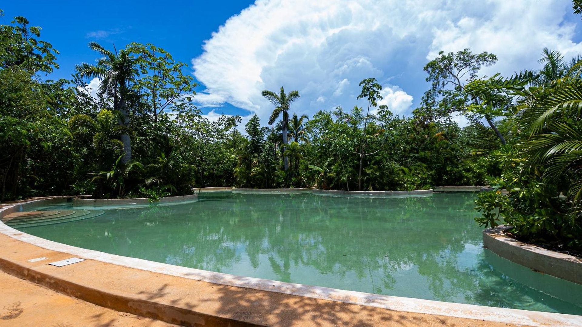 Limas