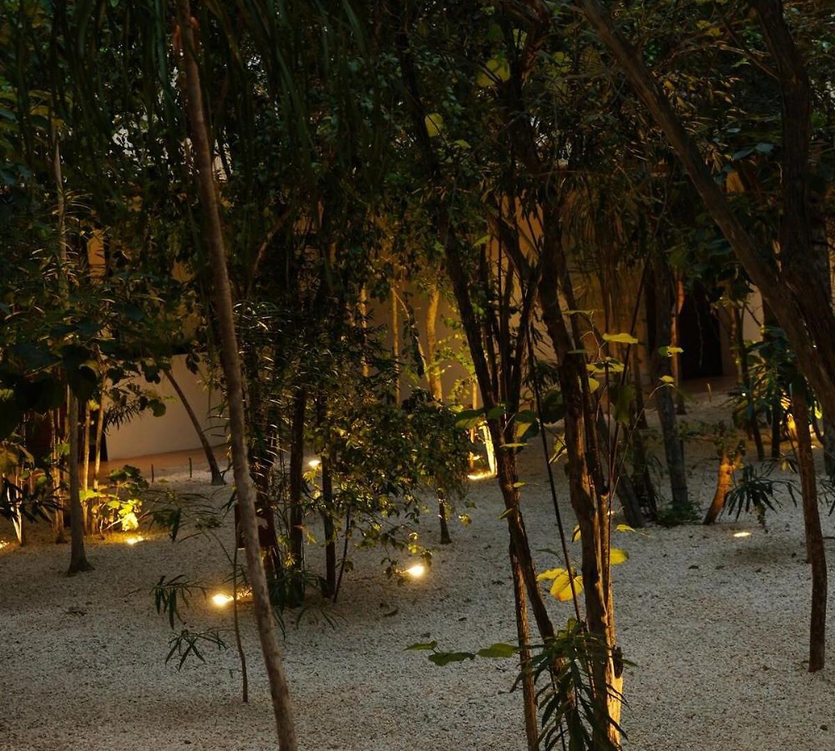 Apartamento Sky Pool - 4 Guests - Near The Tulum