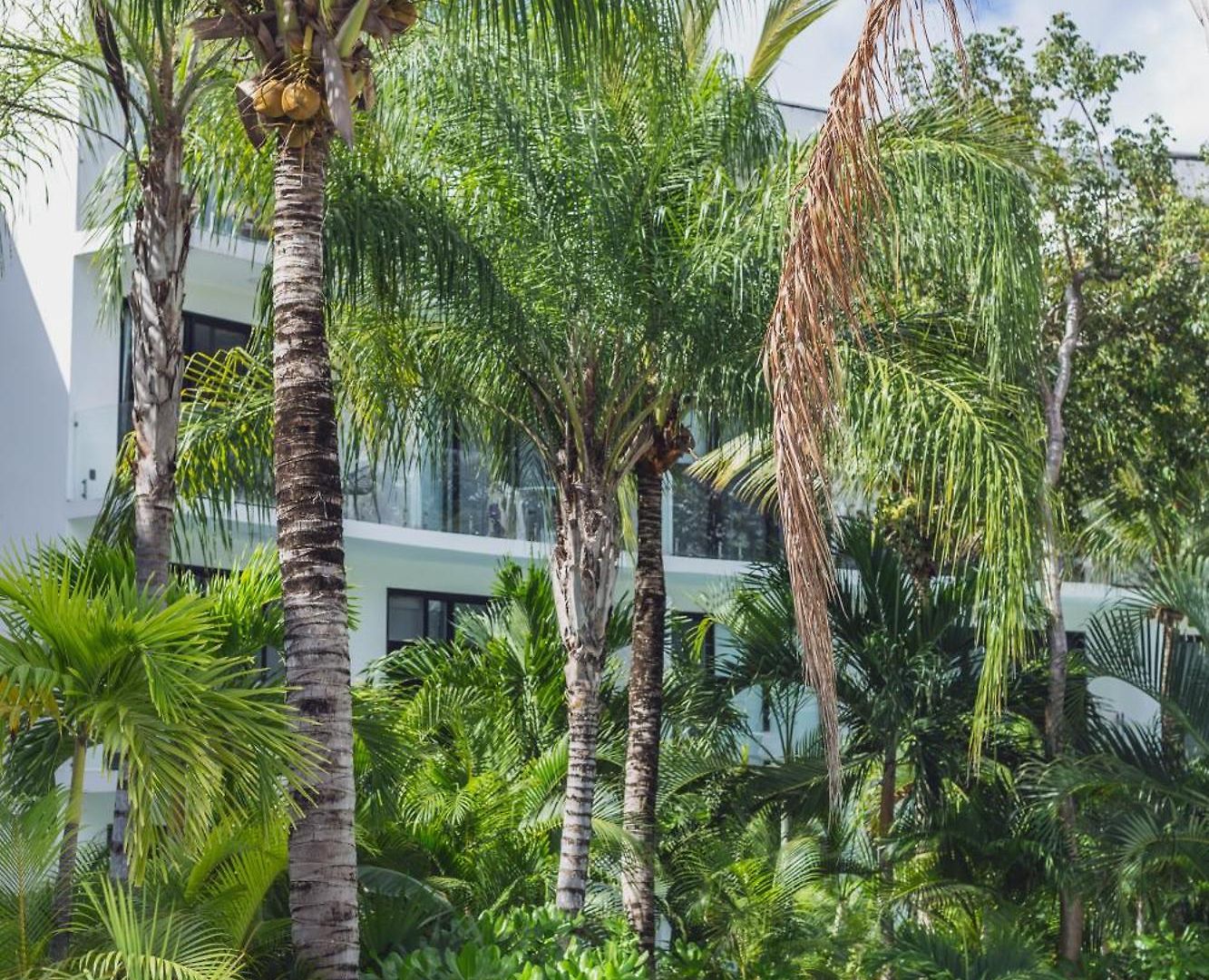 Apartamento Bt Homes - Ph Selvático, Piscina Privada Y Confort