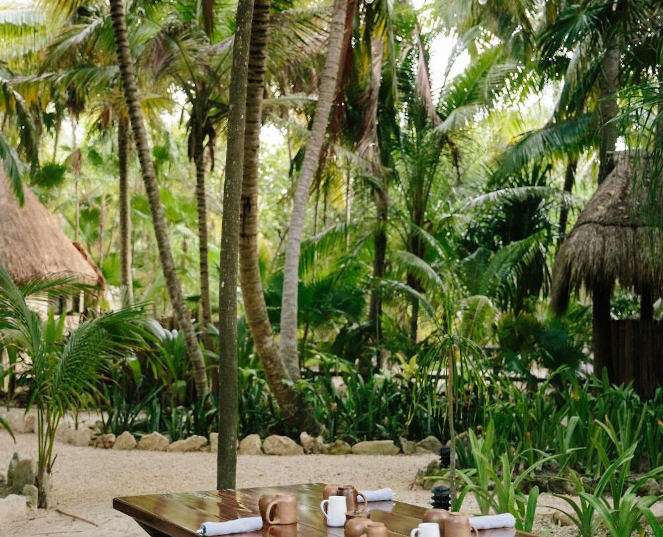 Olas Bed and breakfast