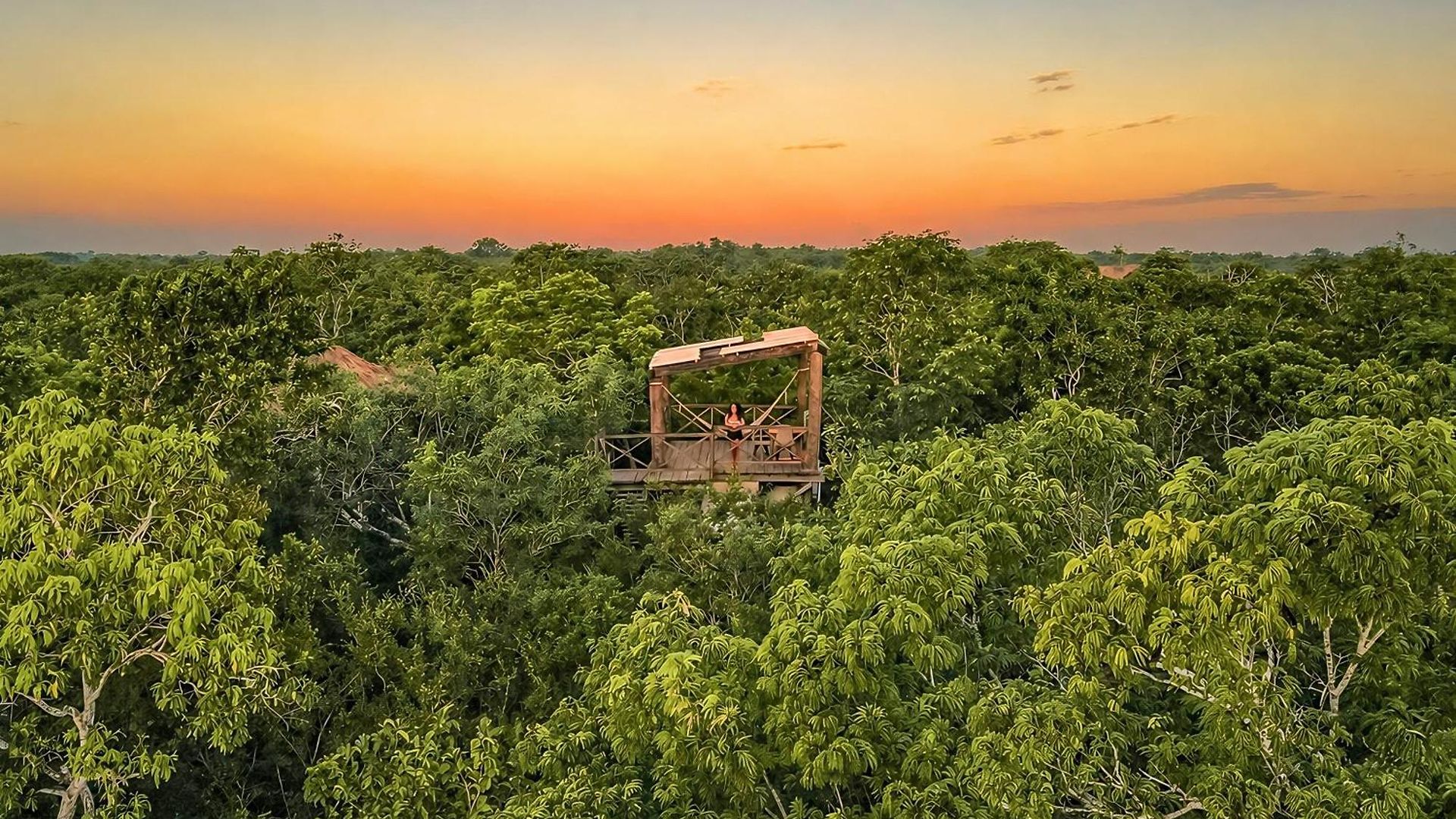 Lodge Treehouse H2ojos *