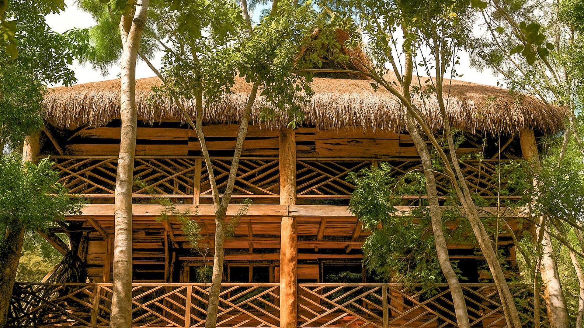 Treehouse H2ojos *