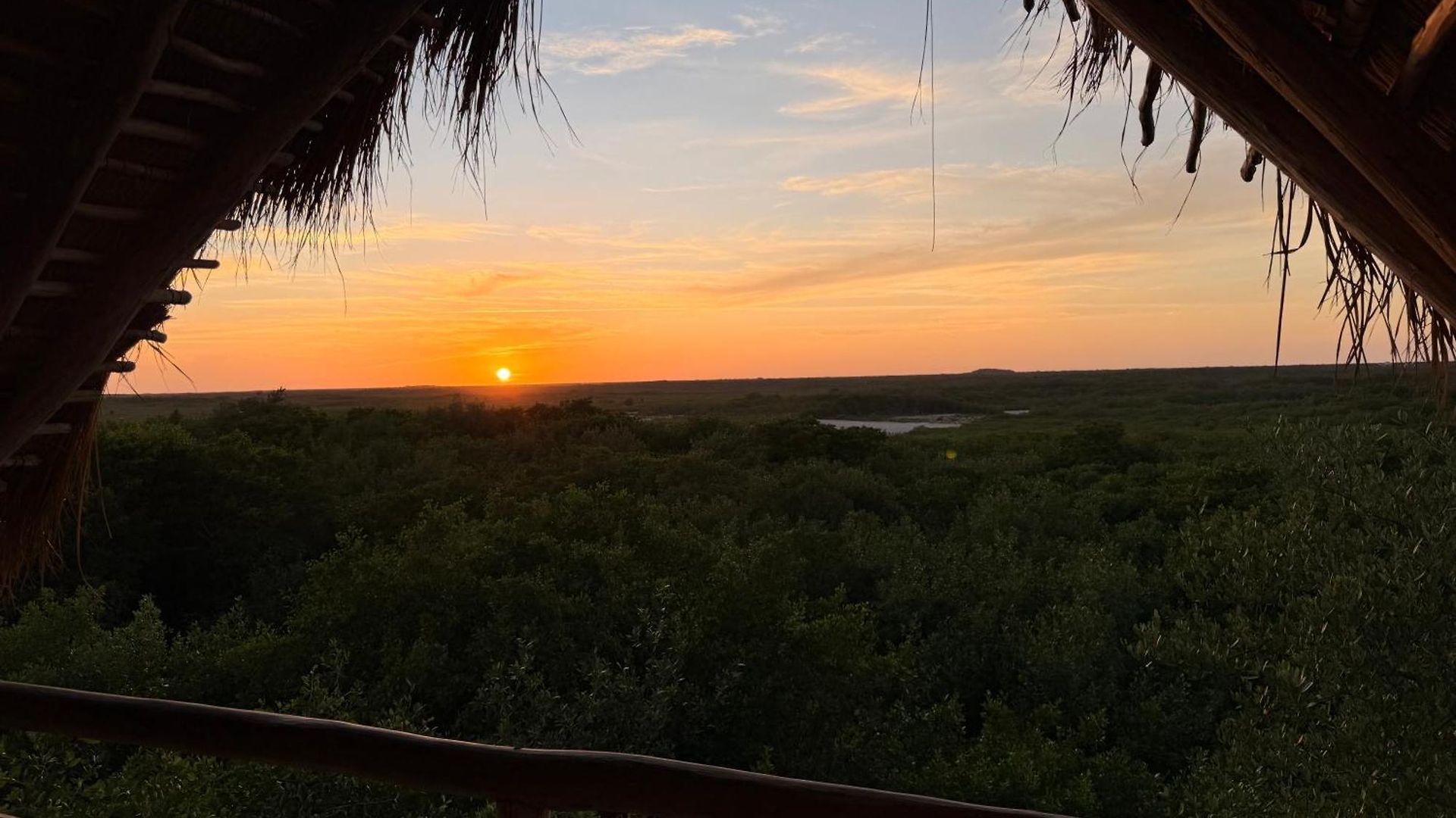Alma Libre Tulum