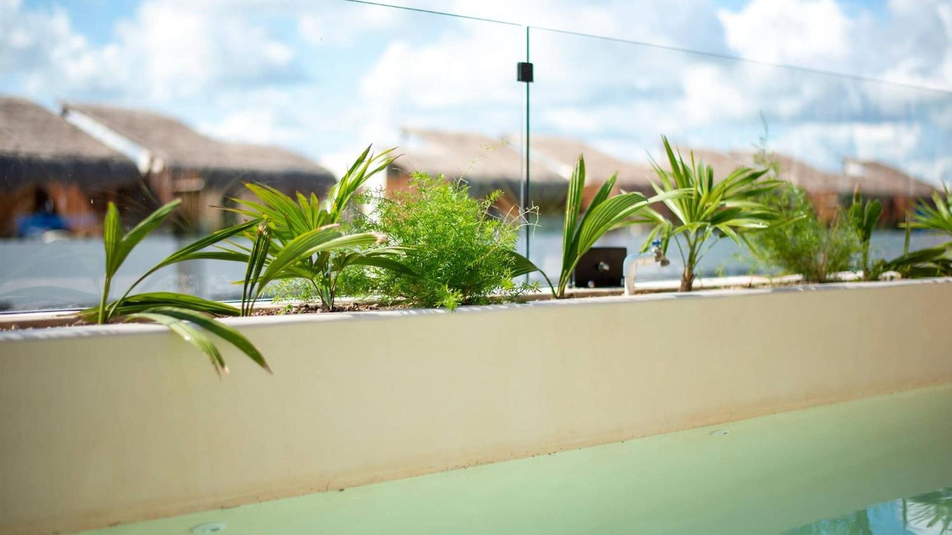 Apartment Penthouse With Private Plunge Pool - 2 King Tulum