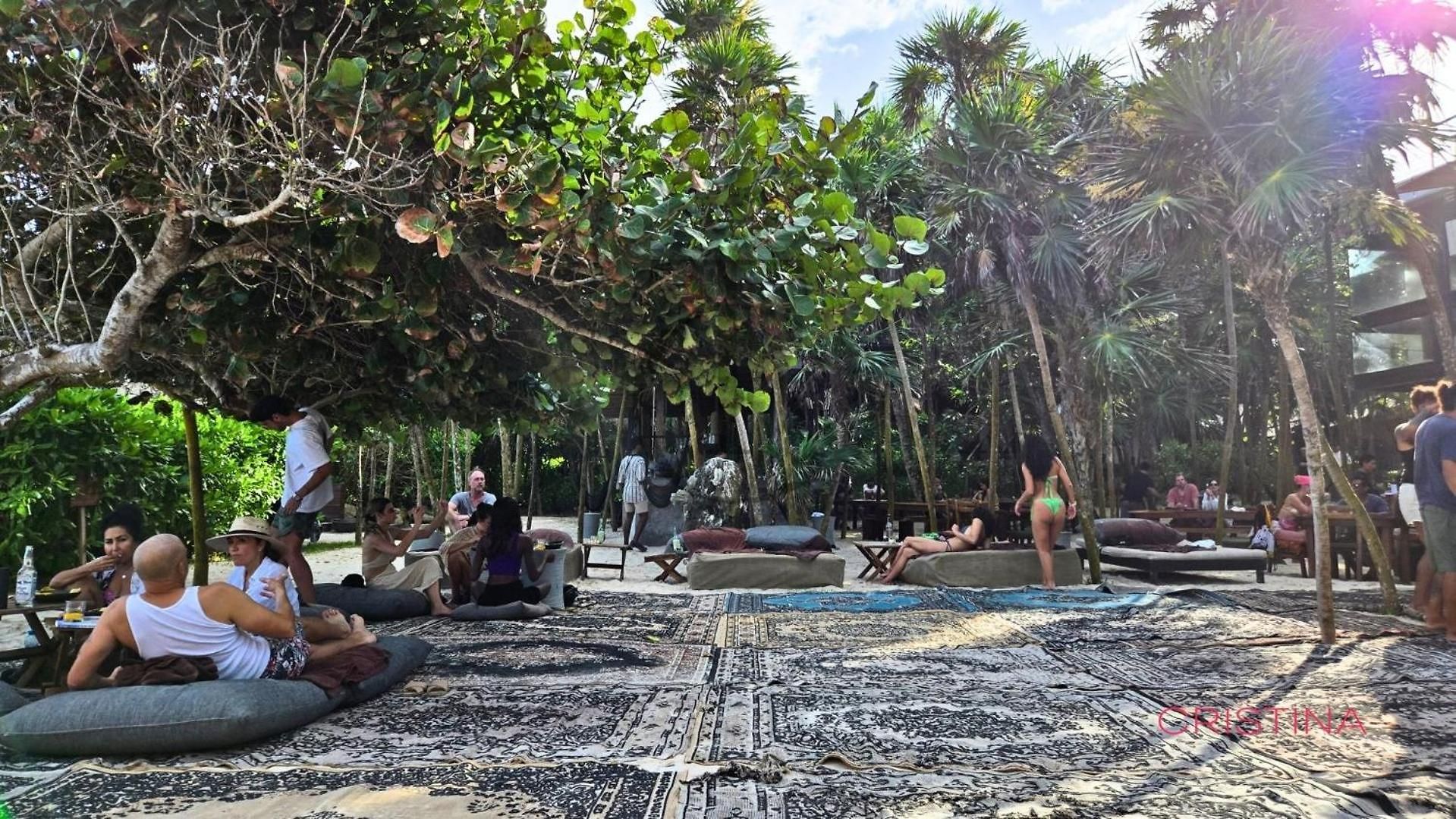Art House - Filtered Water & 2 Free Clubs Zone Tulum