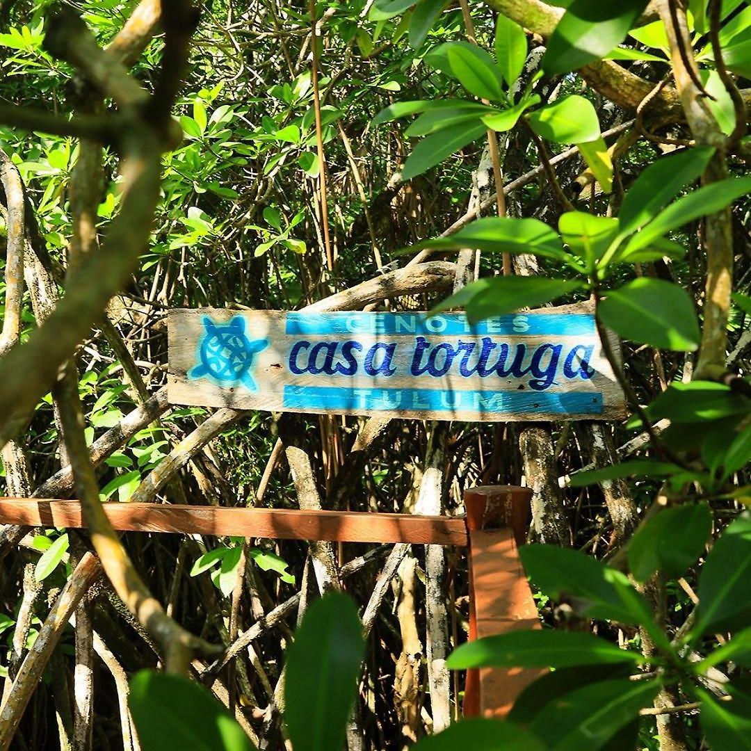 Casa Tortuga - Cenotes Park Inclusive