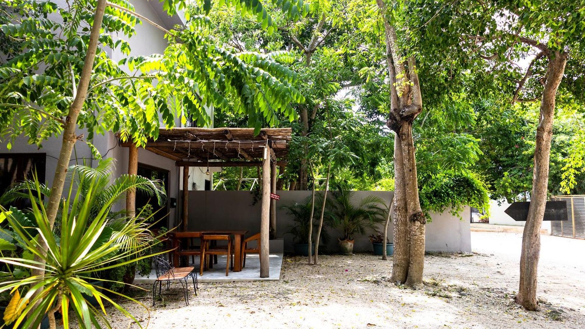 Casa Tortuga - Cenotes Park Inclusive Tulum