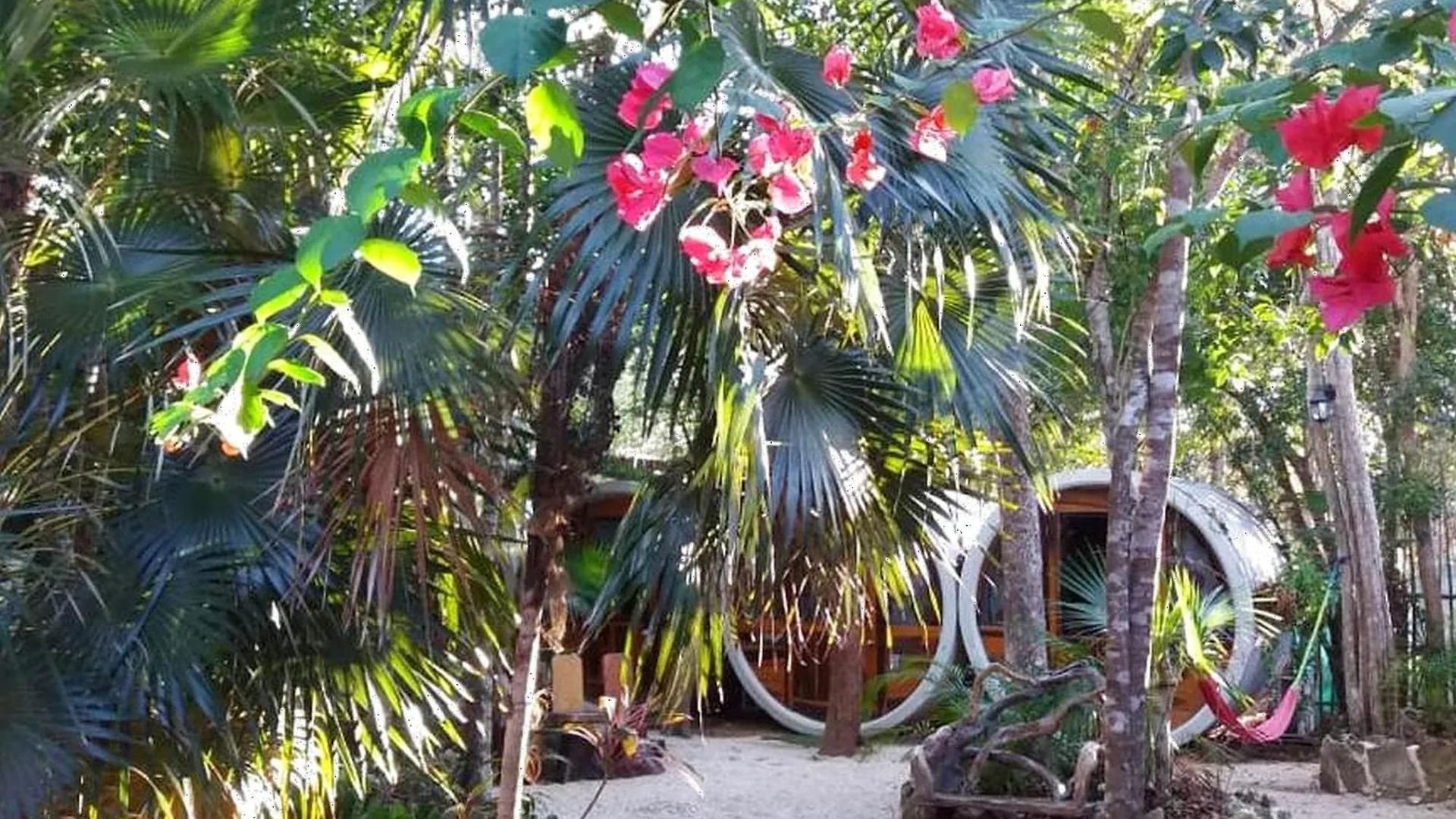 Guest house Mulut Tulum