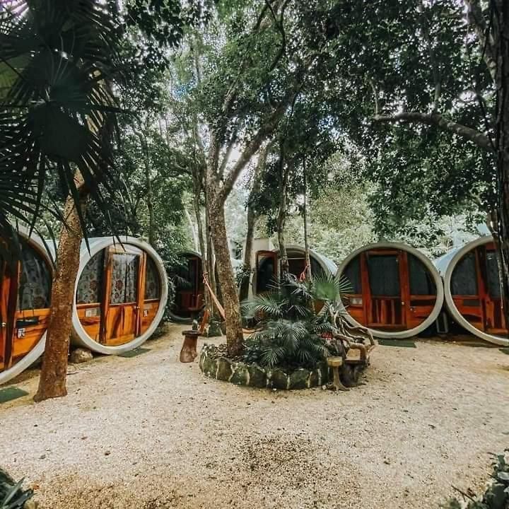 Mulut Guest house