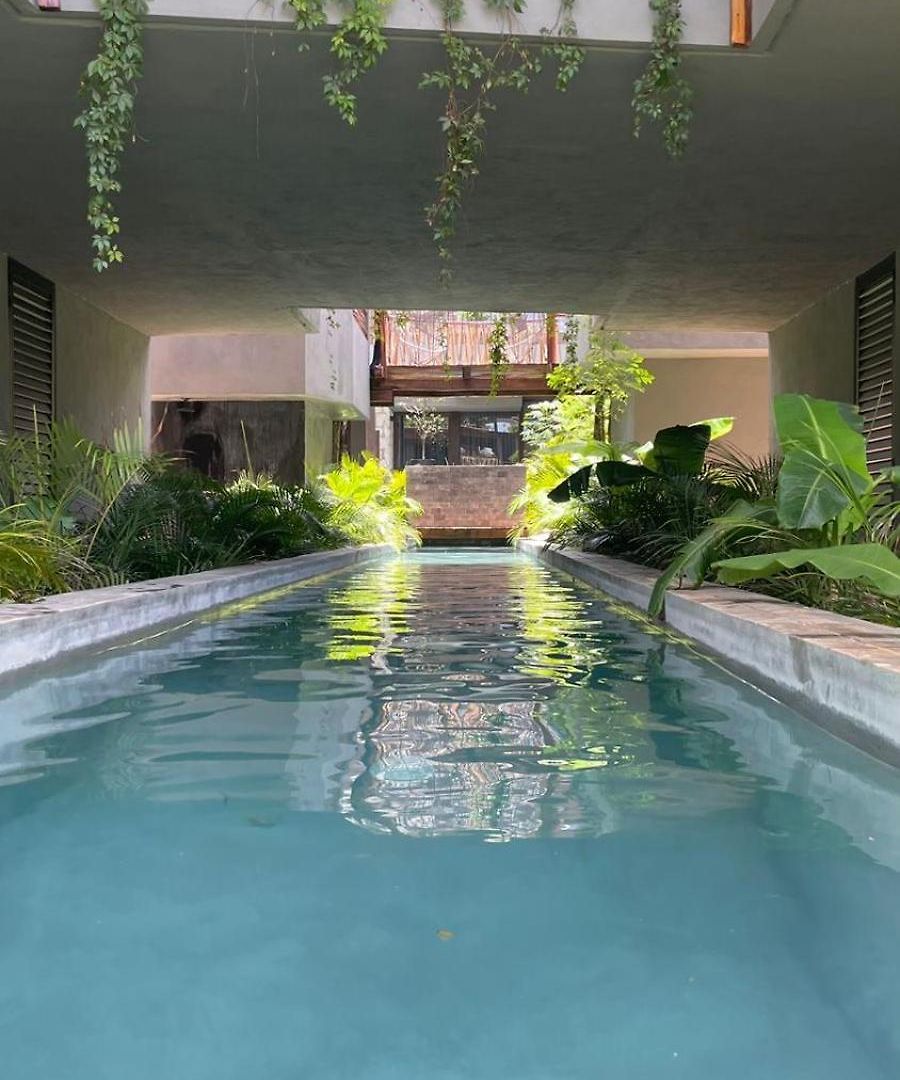 Jungle Luxury Romantic Club, And Private Pool Apartment