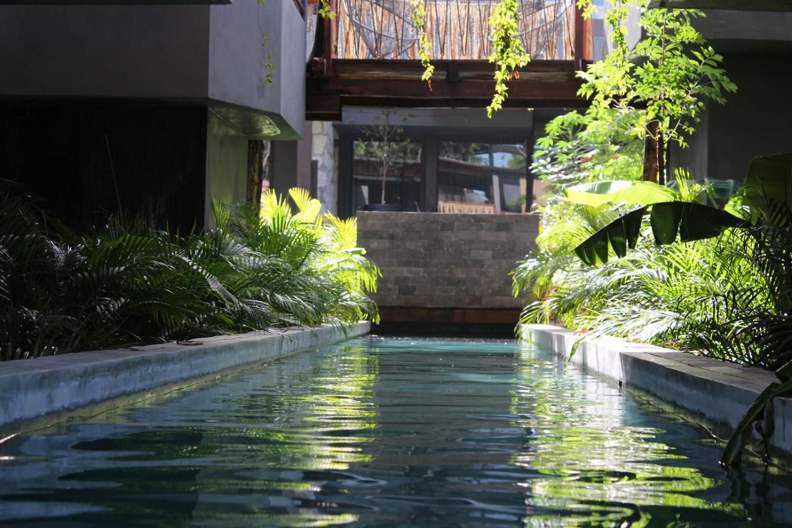 Jungle Luxury Romantic Club, And Private Pool Apartment Tulum