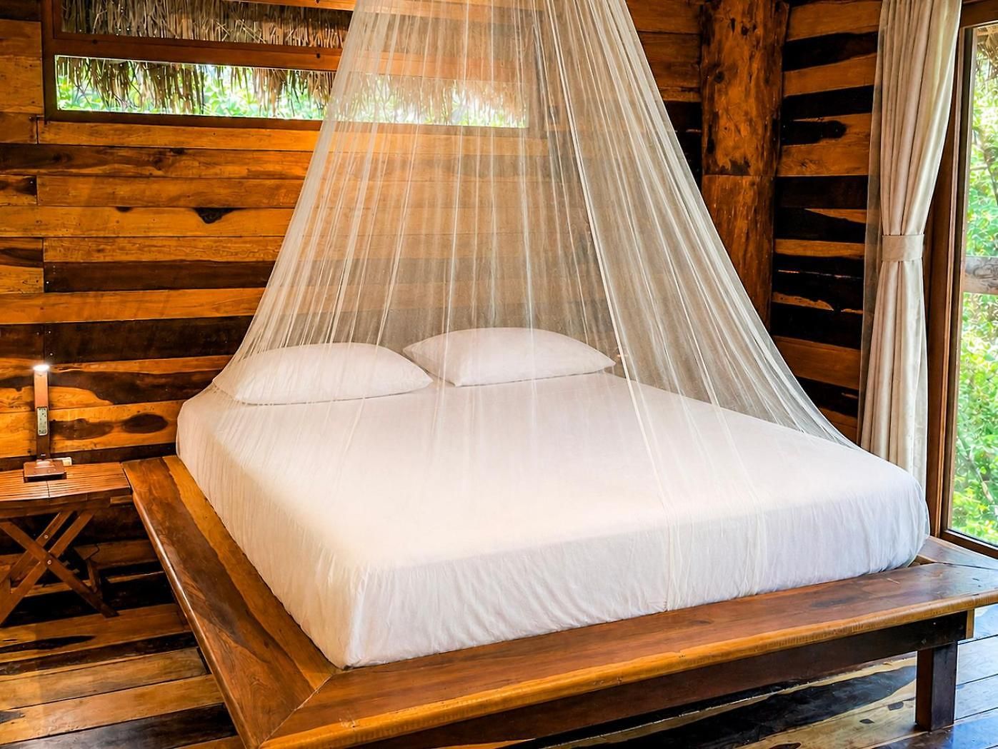 Treehouse H2ojos