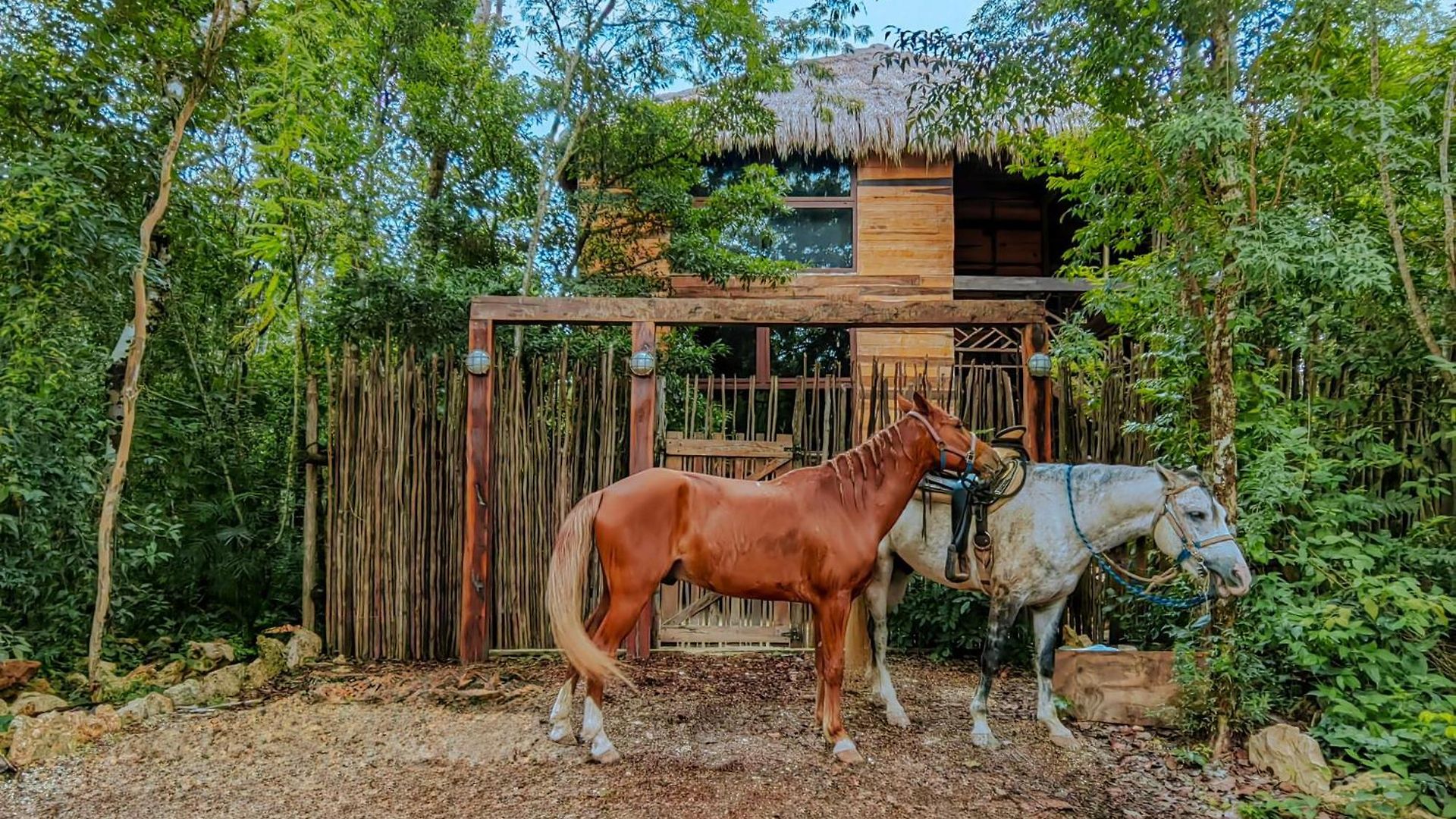 Treehouse H2ojos Lodge