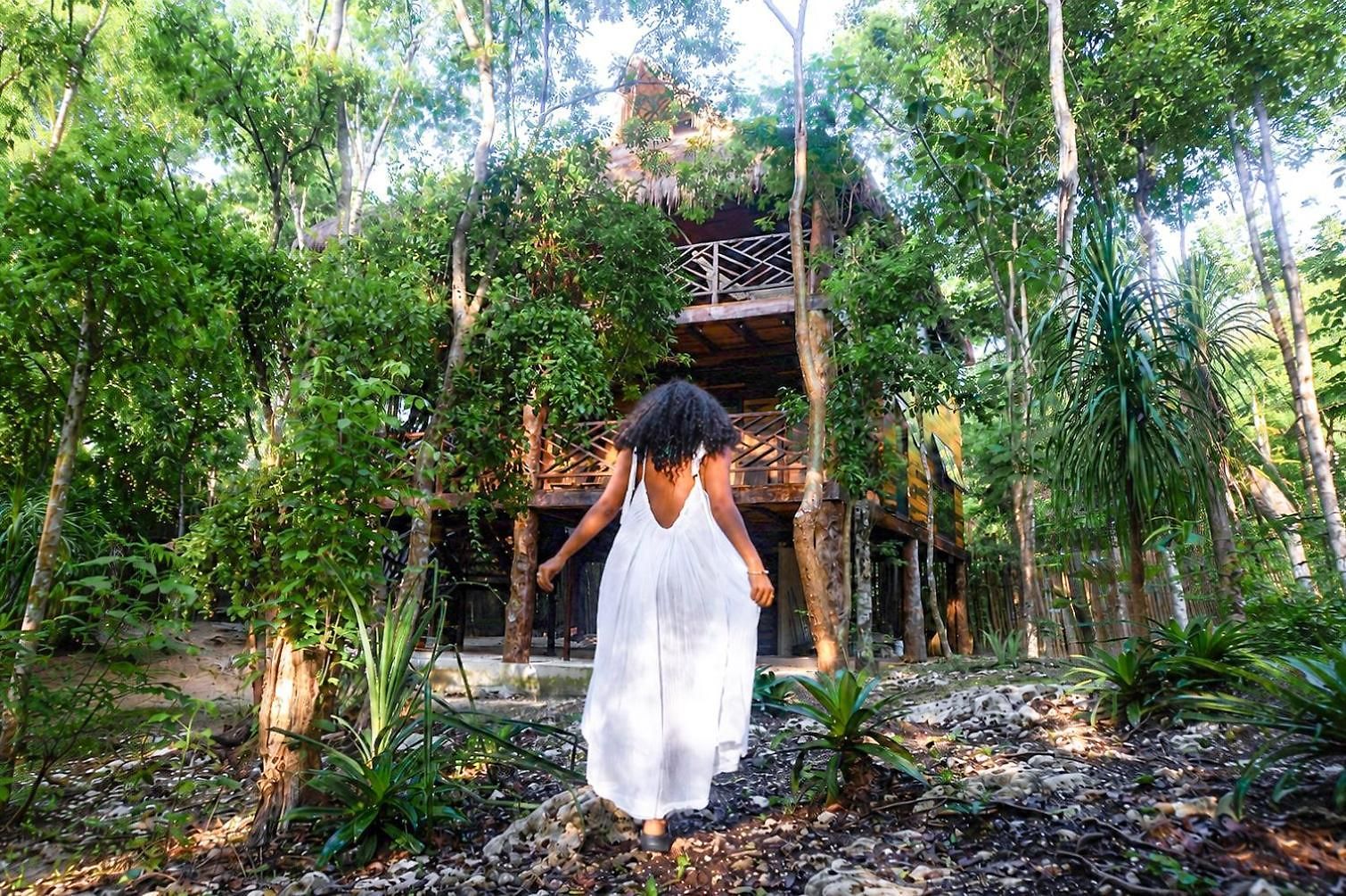 Treehouse H2ojos