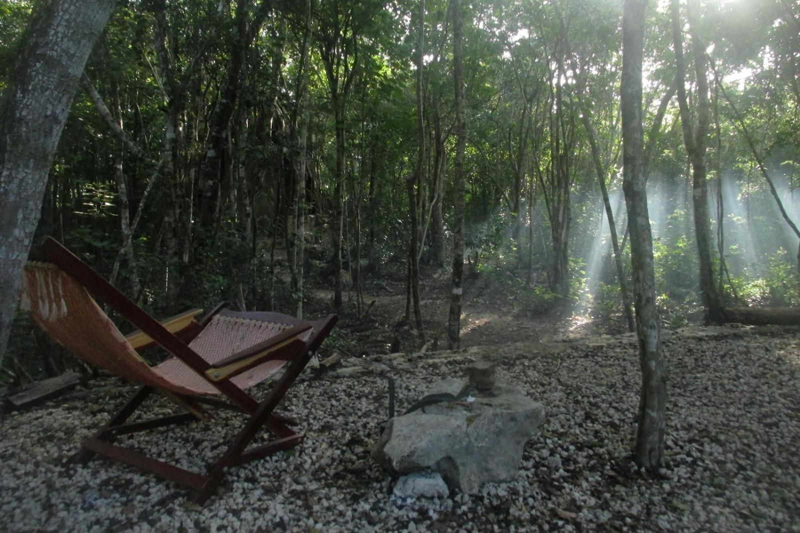 Guest house Barefoot Jungle Tulum