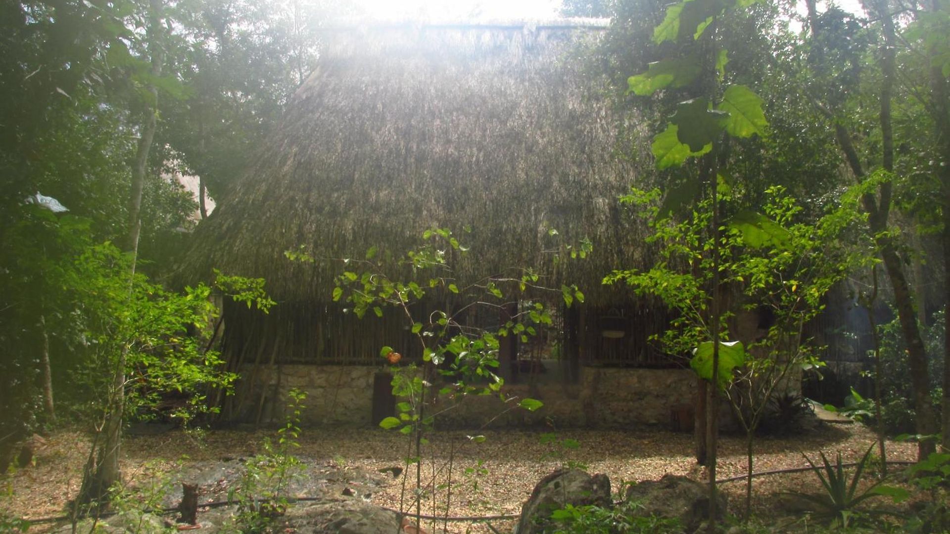 Guest house Barefoot Jungle