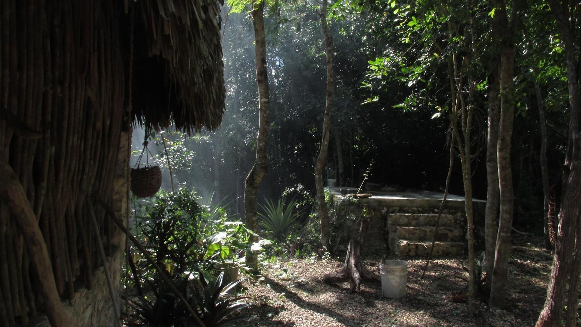 Guest house Barefoot Jungle