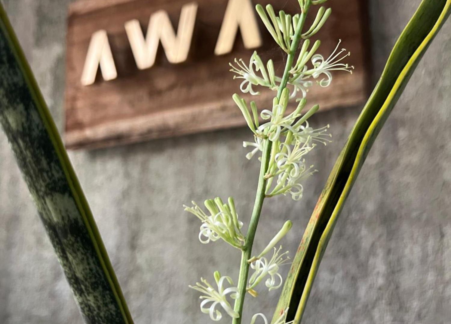 Hotel Awa Eco Retreat Tulum