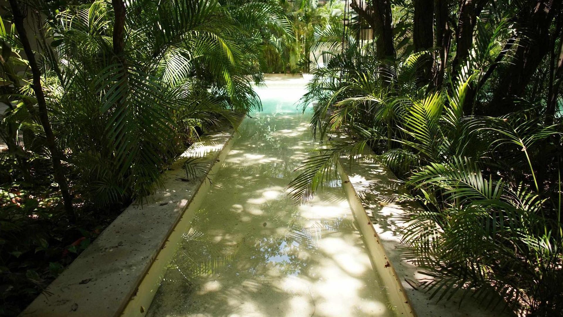 Thoth Departamento En La Veleta Holiday home Tulum