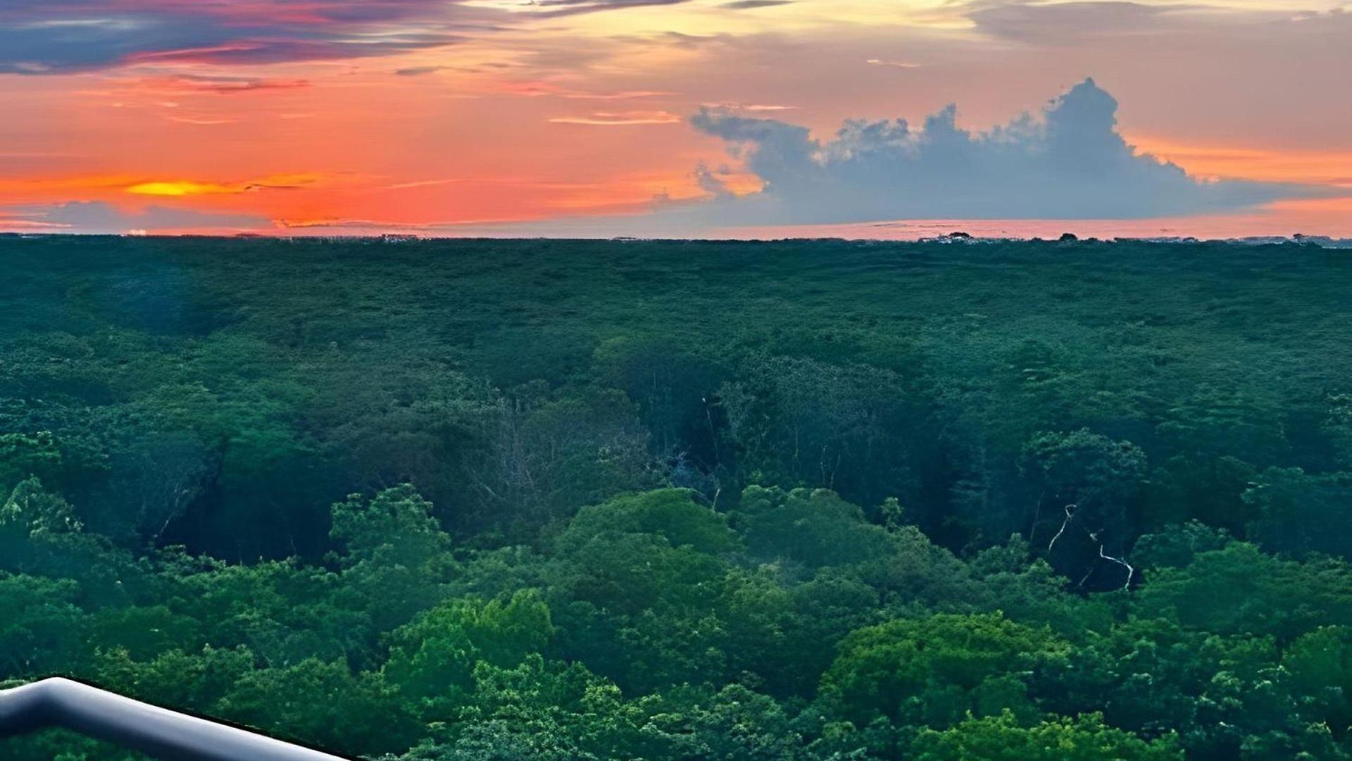 Jungle Guardian - Rooftop Pool & Club Tulum