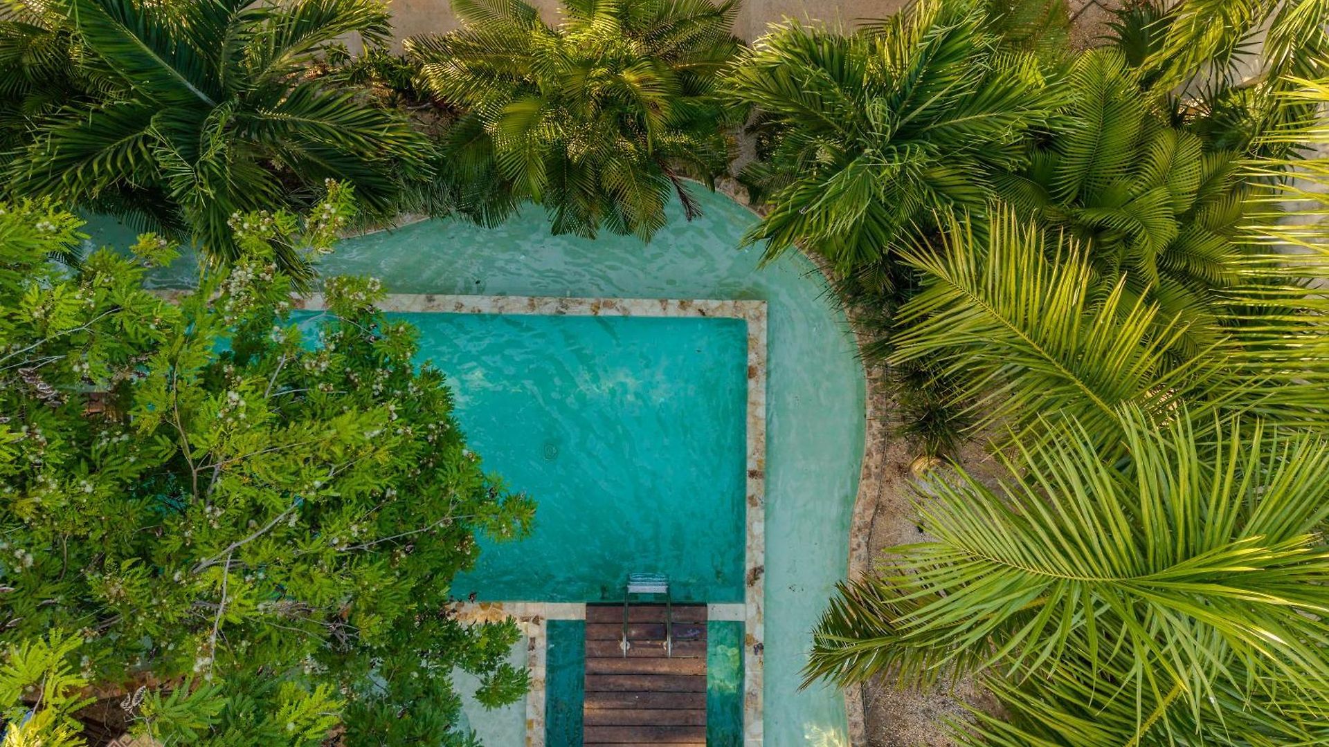 Soko * Tulum