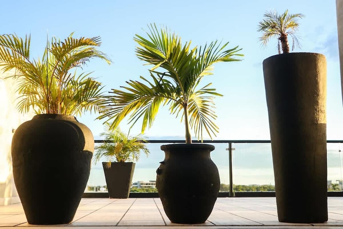 Holiday home Luum Vibe, Free Soul And A Refuge In The Jungle *