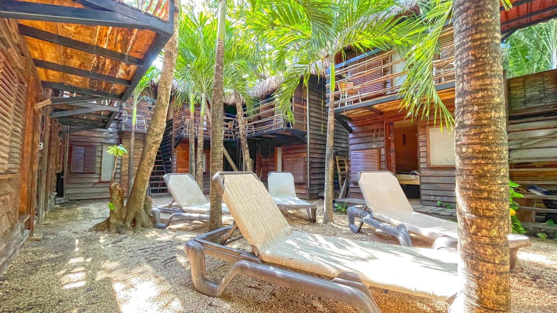 Mr Zamna Tulum
