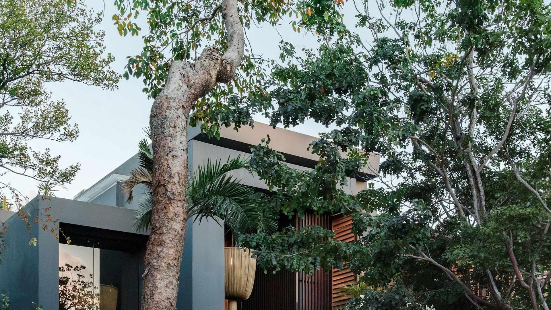 Luxury Jungle With Private Pool & Jacuzzi Holiday home