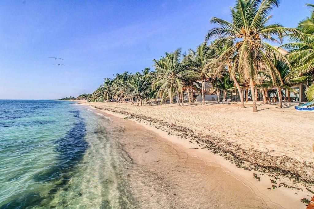 Beachfront With Private Heated Pool Jacuzzi Sauna Ocean Views & Ac - 7th Heaven