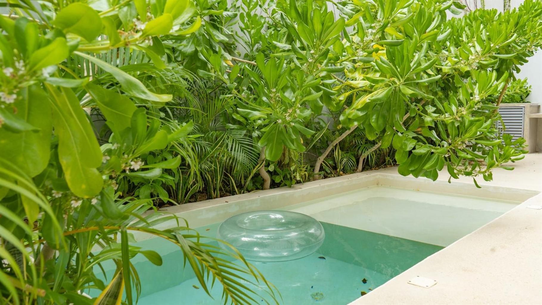 Pools Privadas Rooftop Selva Villa Tulum