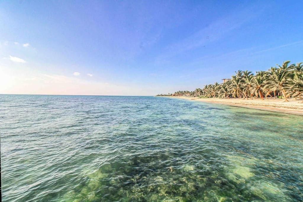 Beachfront With Private Heated Pool Jacuzzi Sauna Ocean Views & Ac - 7th Heaven