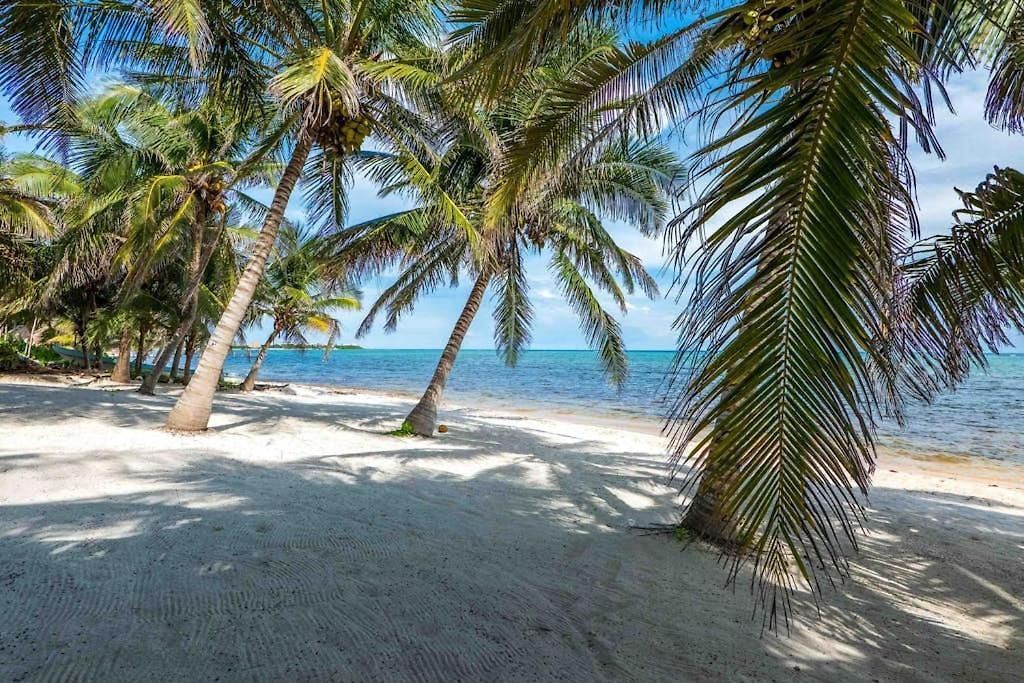 Beachfront Paradise With Private Pool Ocean View Full Kitchen & Shaded Patio - Mandala * Tulum
