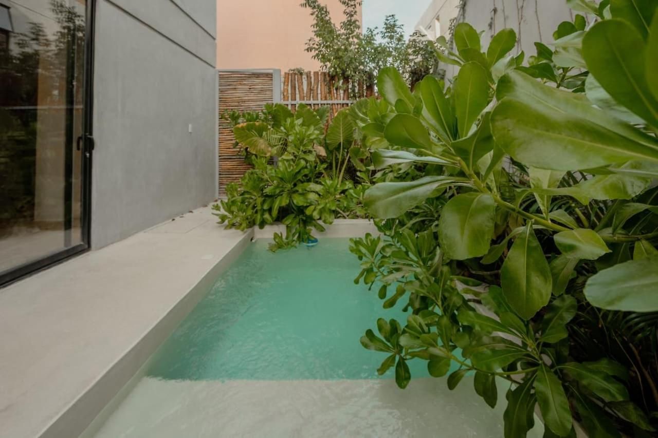 Pools Privadas Rooftop Selva Tulum
