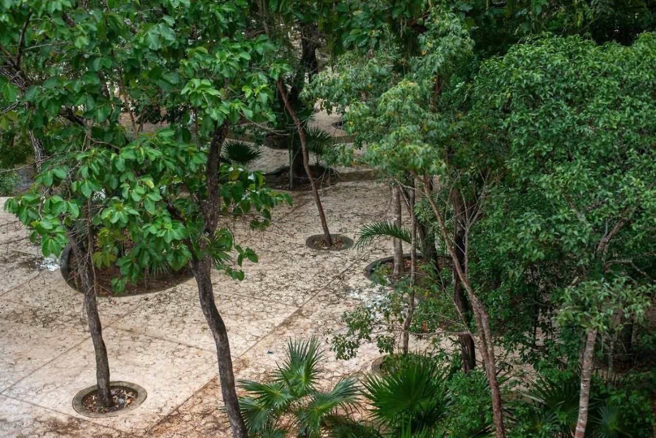 Paradise Spacious 2br In Aldea Zama