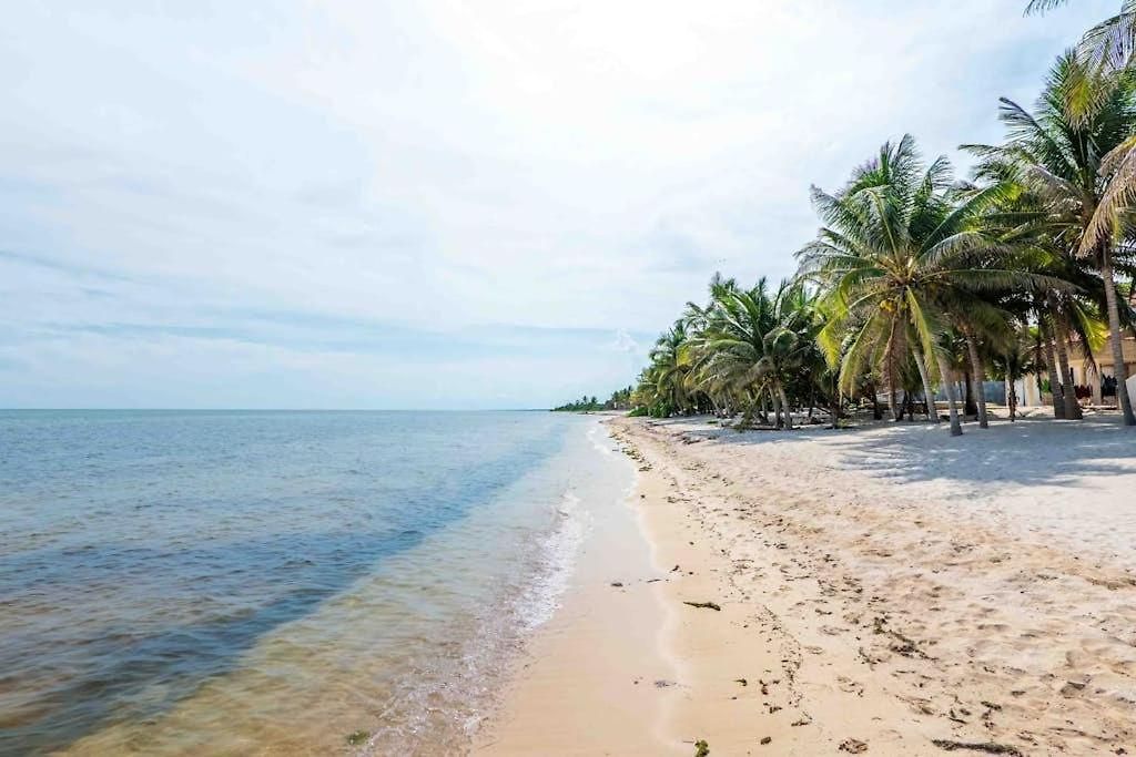 Beachfront Paradise With Private Pool Ocean View Full Kitchen & Shaded Patio - Mandala * Tulum