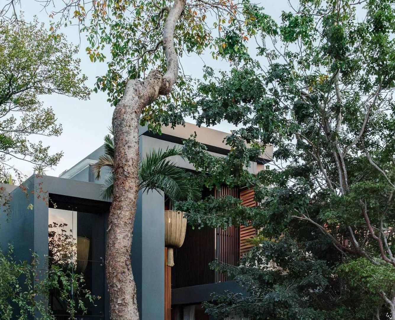 Luxury Jungle With Private Pool & Jacuzzi Holiday home