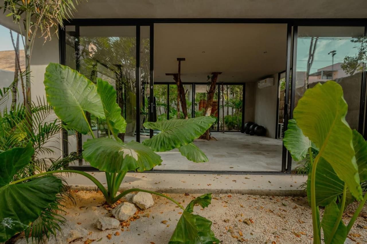 Pools Privadas Rooftop Selva Villa
