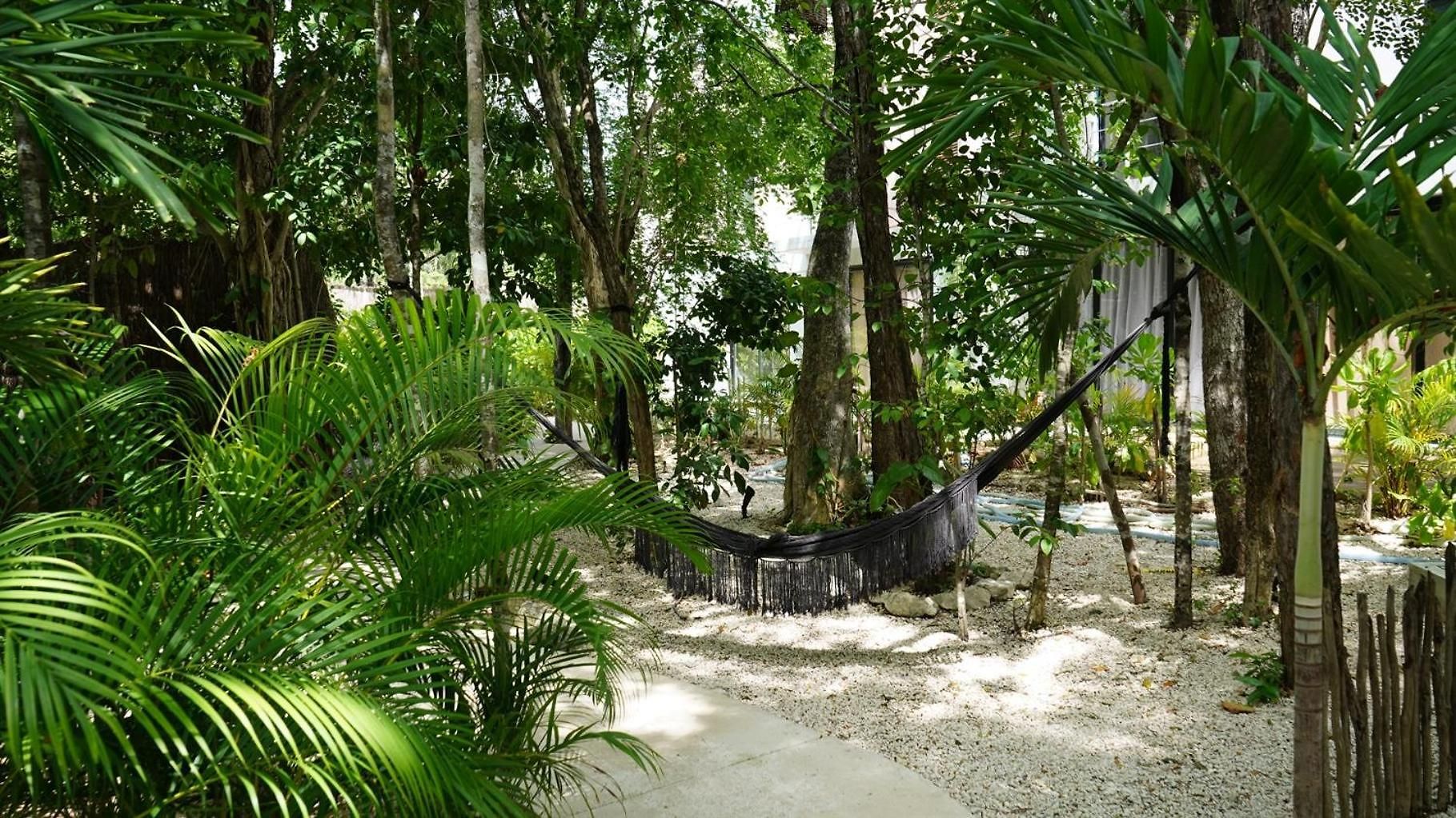 Pools Privadas Rooftop Selva *