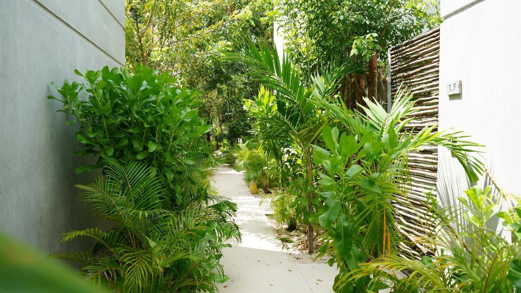 Villa Pools Privadas Rooftop Selva *
