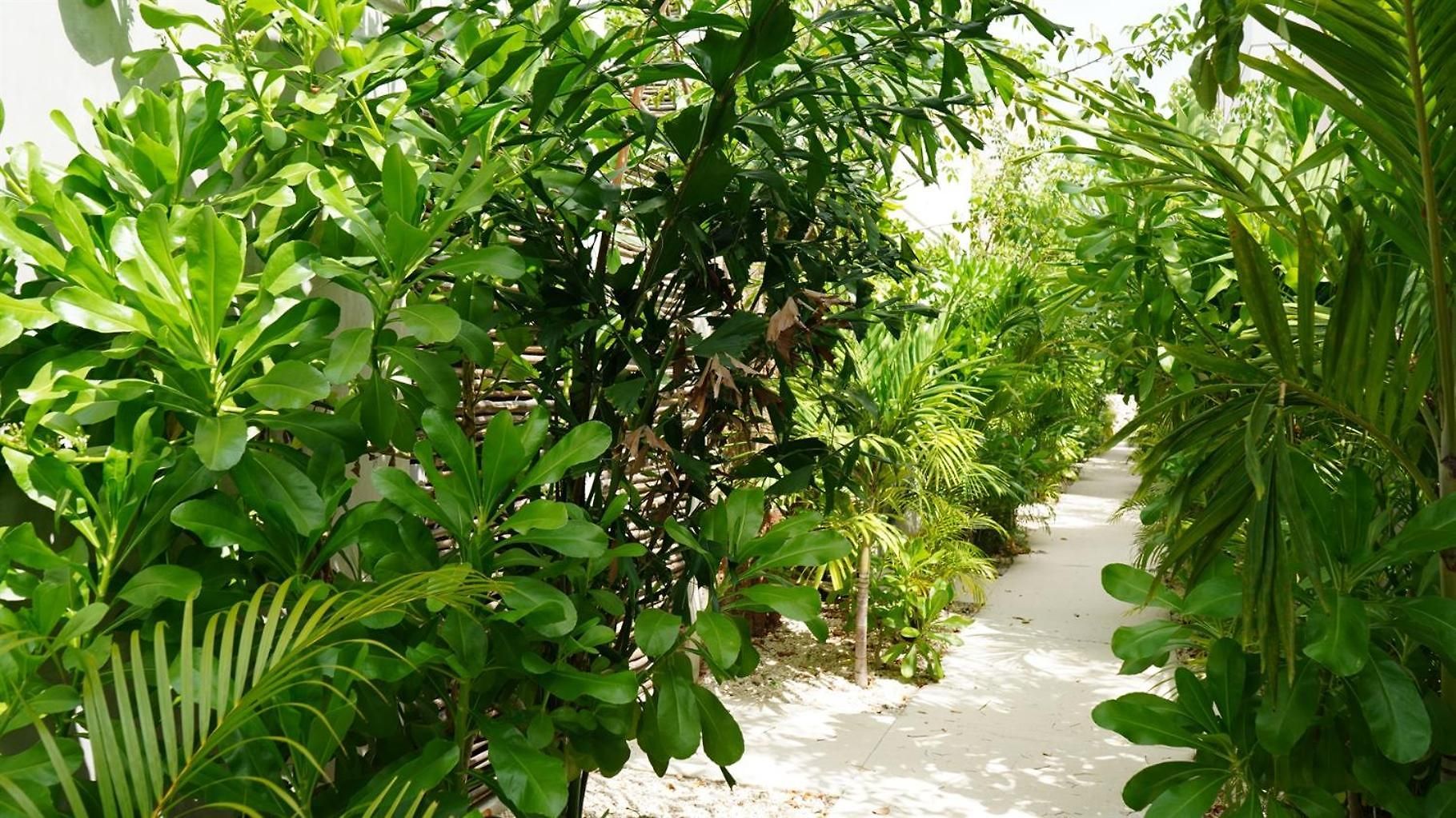 Pools Privadas Rooftop Selva