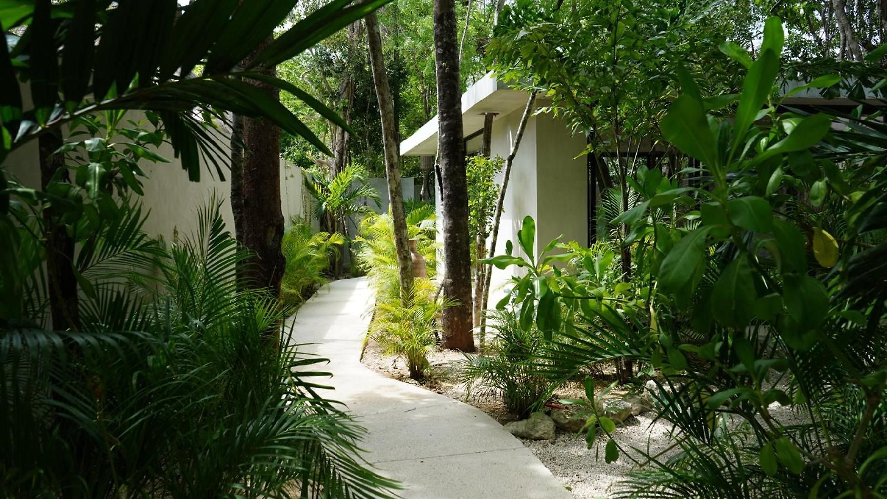 Pools Privadas Rooftop Selva Tulum