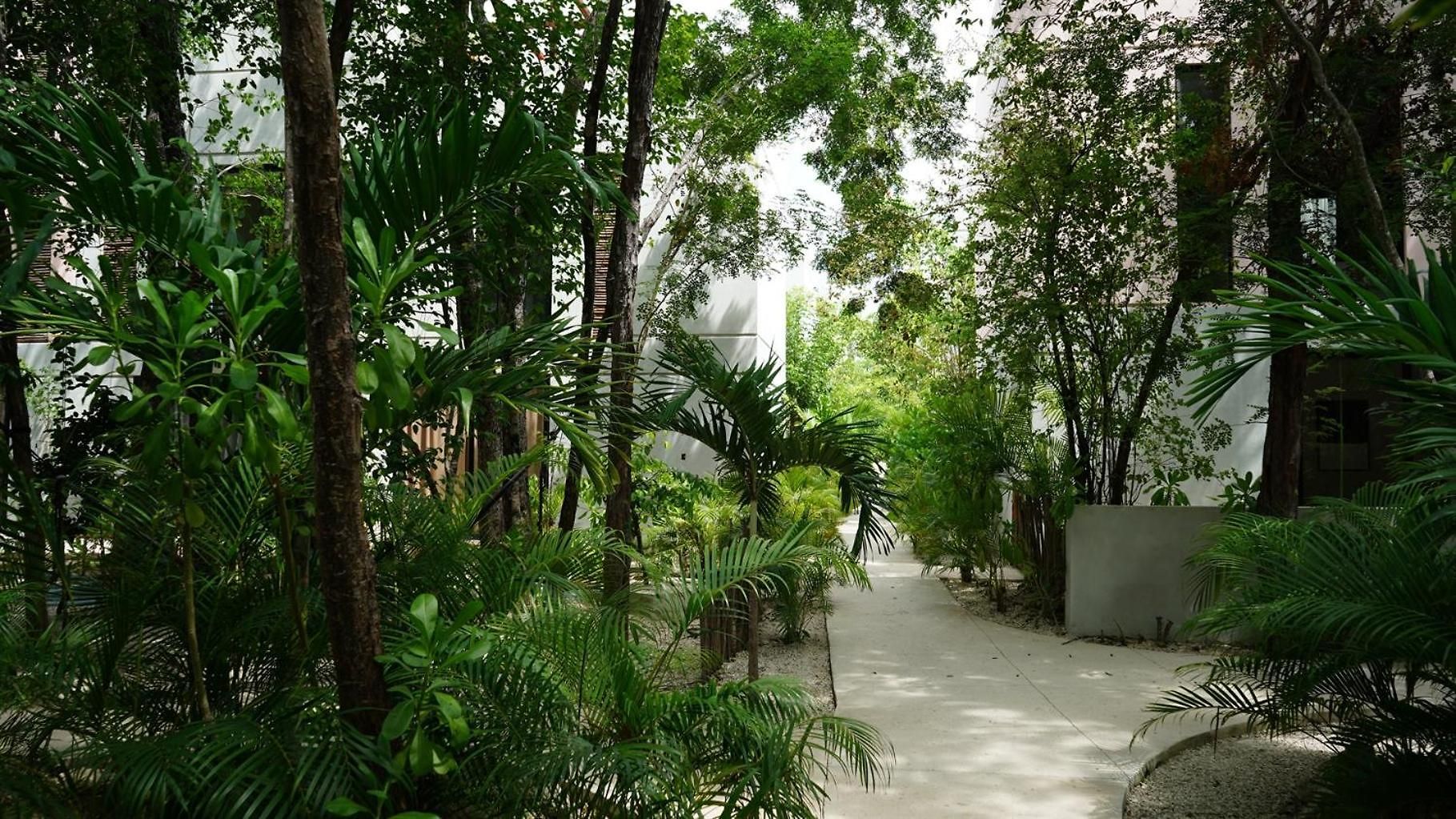 Villa Pools Privadas Rooftop Selva Tulum