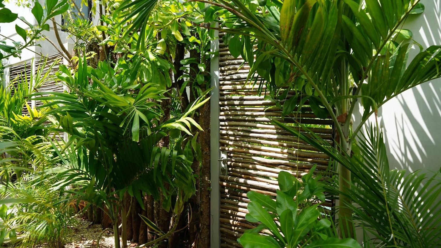 Villa Pools Privadas Rooftop Selva Tulum