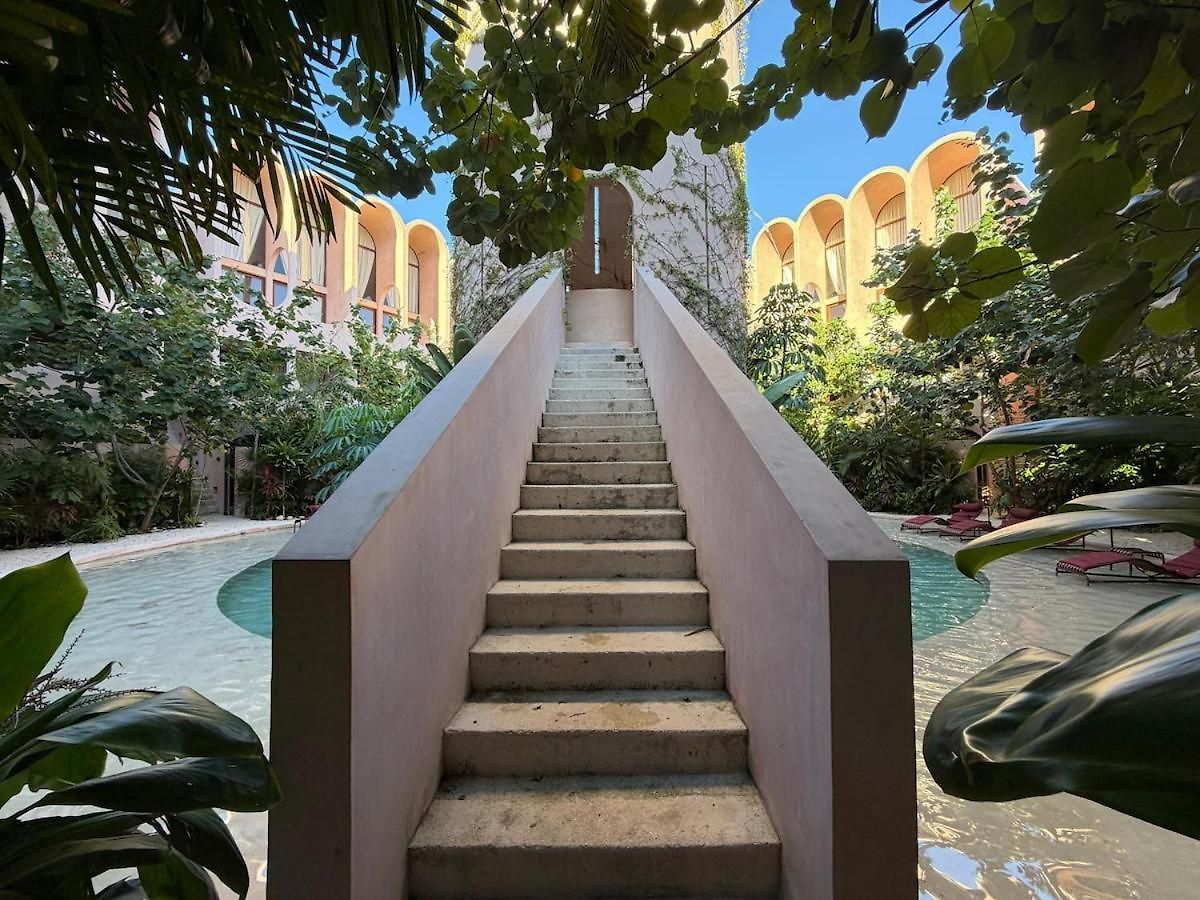 Apartment Wellness & Organic