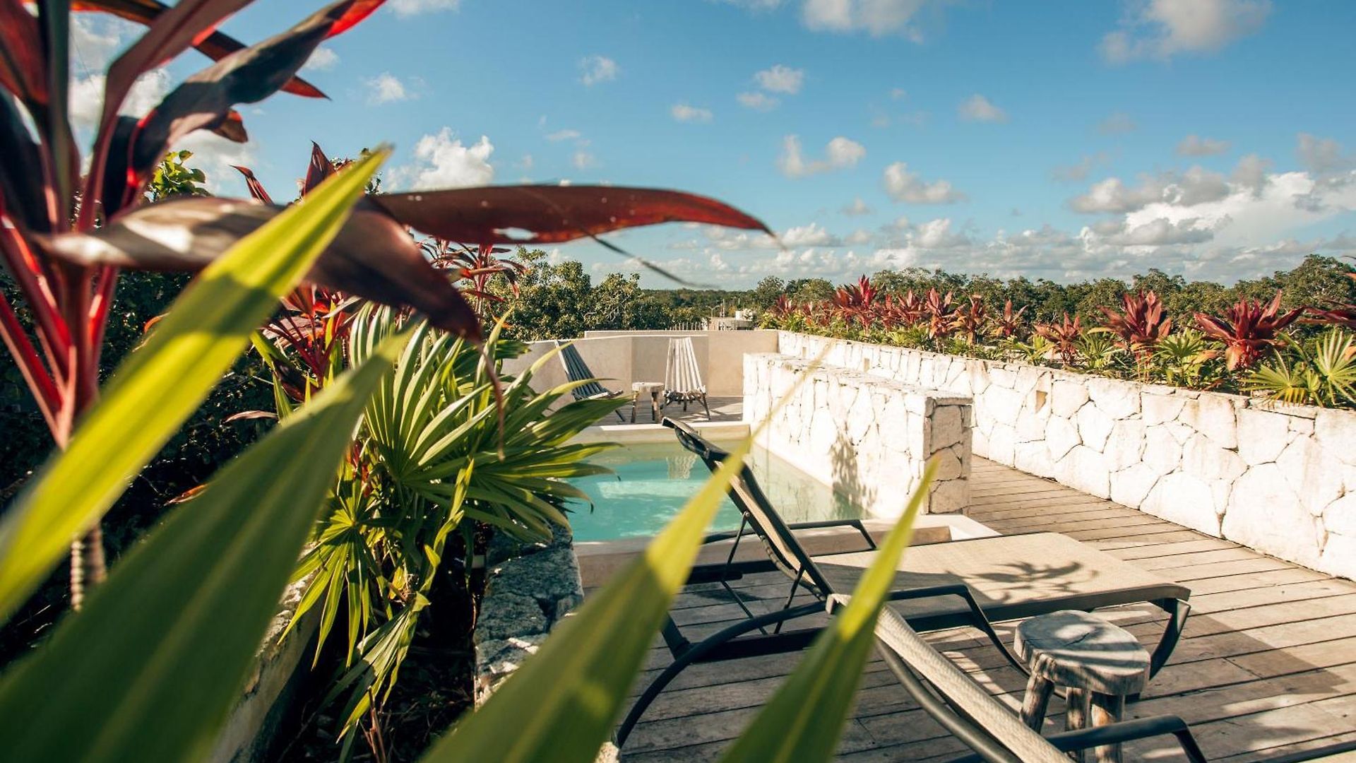 Apartment Vida Jungle Incl Rooftop Pool Tulum
