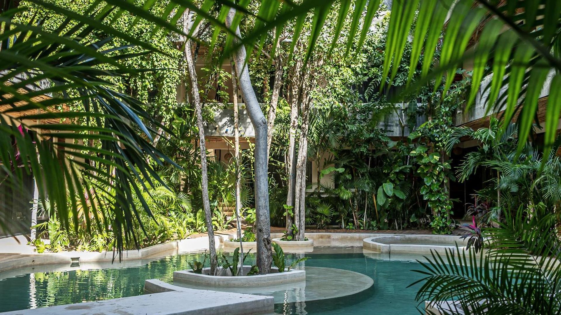 Bt Homes - Lujoso Ph, Naturaleza & Piscina Privada *