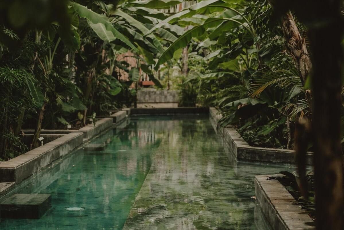 Private Jungle 1br Retreat & Fast Wi-fi *