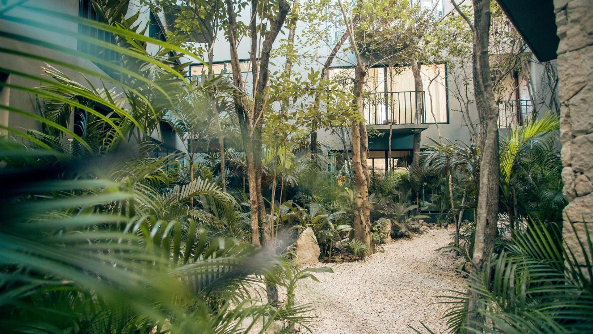 Vida Jungle Incl Rooftop Pool *