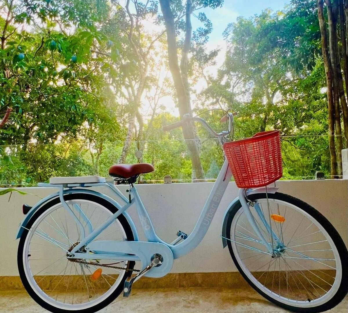 Apartment #teamotulum Jungle Escape In *
